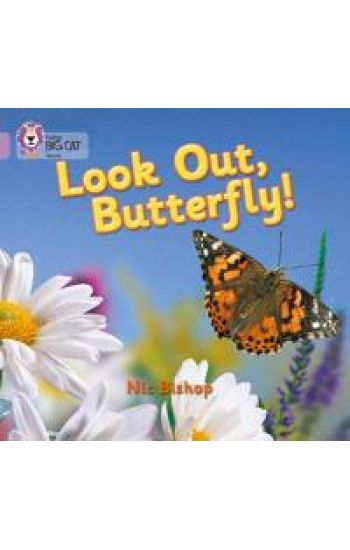 Look Out Butterfly!