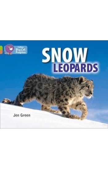 Snow Leopards