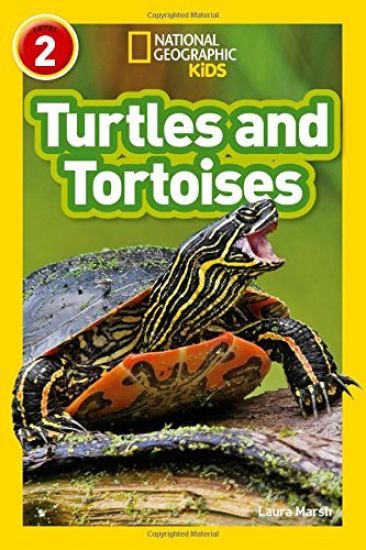 Turtles and Tortoises