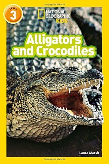 Alligators and Crocodiles