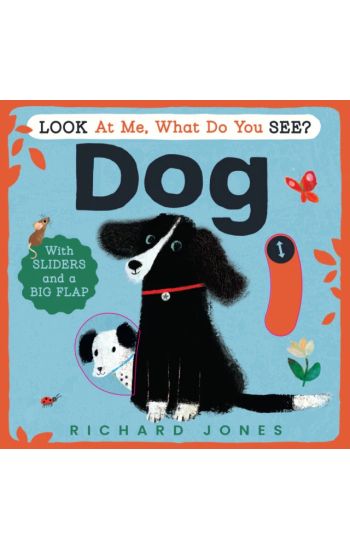 Look at Me, What Do You See? Dog