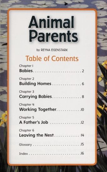 Science, a Closer Look, Grades K-2, the Human Body Student Edition