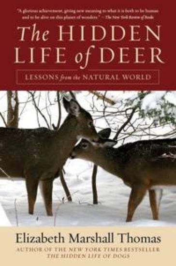 Hidden Life of Deer