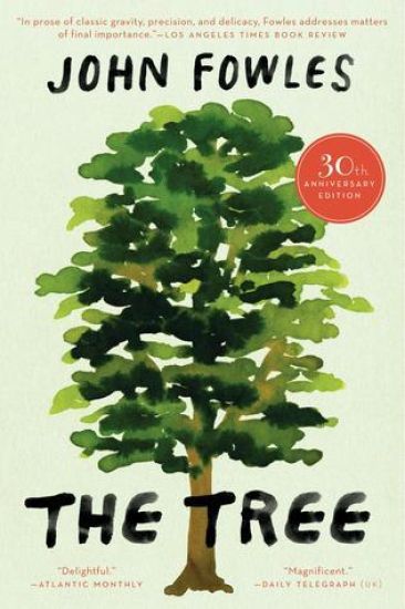 The Tree