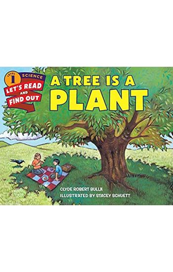 A Tree Is a Plant