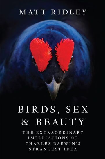 Birds, Sex and Beauty: The Extraordinary Implications of Charles Darwin's Strangest Idea