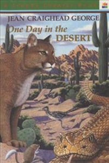 One Day in the Desert