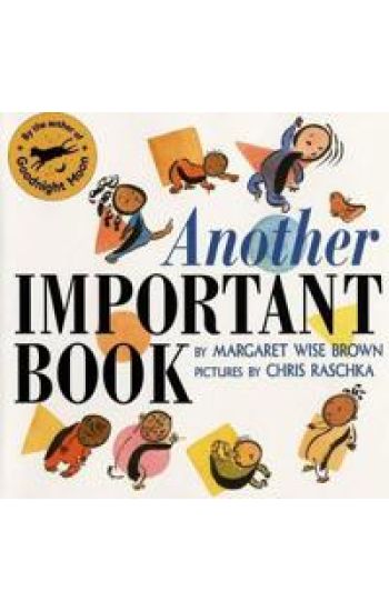 Another Important Book