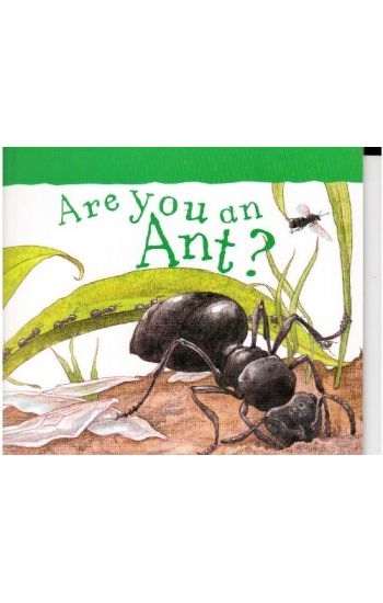 Reading Mastery - Are You an Ant?