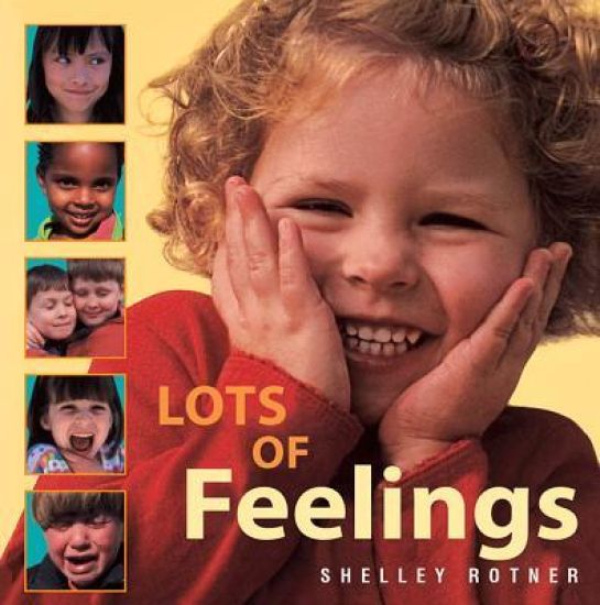 Lot's of Feelings Little Book
