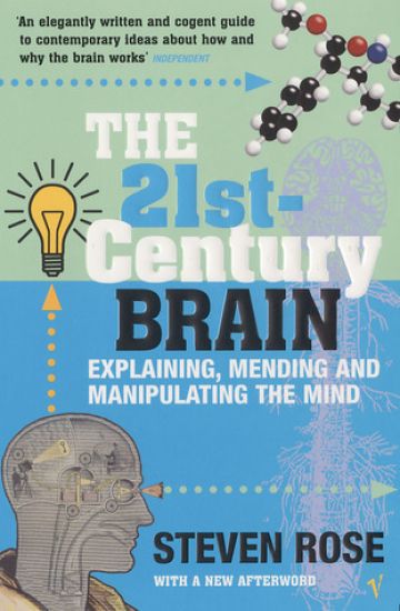 21st Century Brain