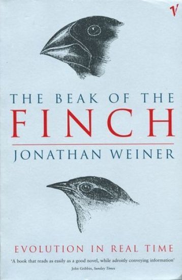 Beak Of The Finch