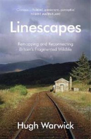 Linescapes