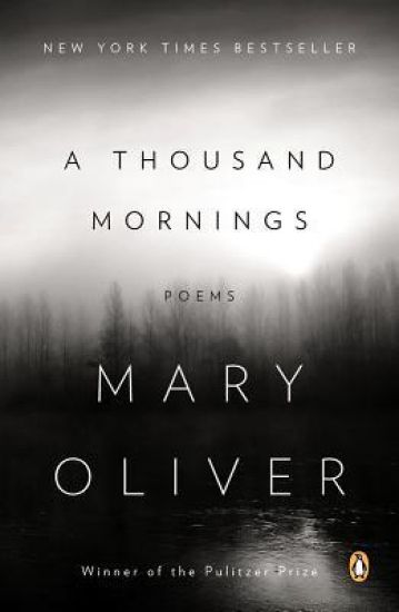 A Thousand Mornings