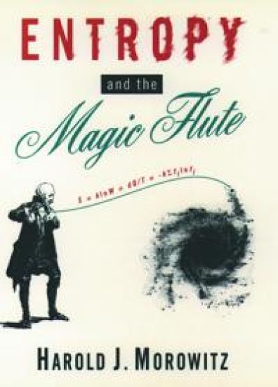 Entropy and the Magic Flute