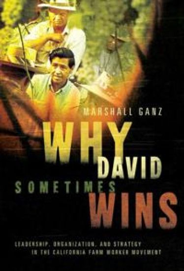 Why David Sometimes Wins