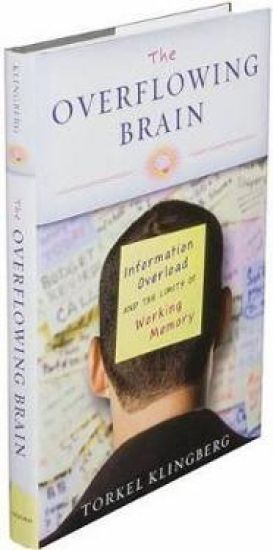 The Overflowing Brain