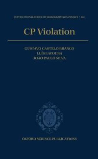 CP Violation