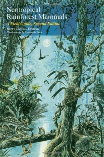 Neotropical Rainforest Mammals