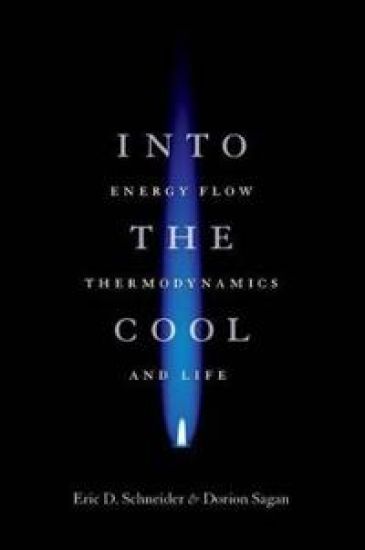 Into the Cool