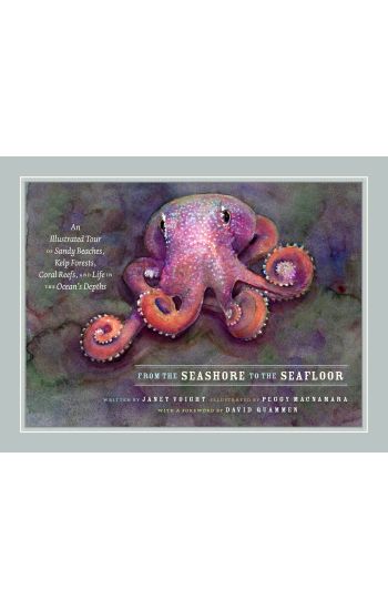 From the Seashore to the Seafloor