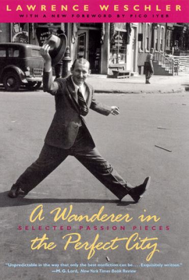 A Wanderer in the Perfect City