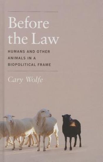 Before the Law
