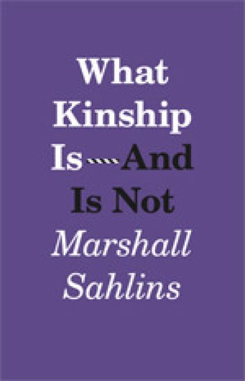 What Kinship Is-And Is Not
