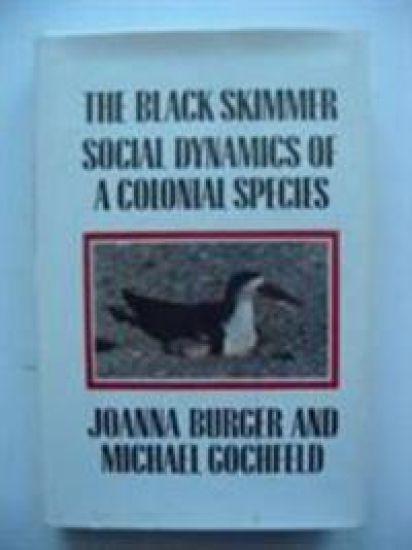 The Black Skimmer