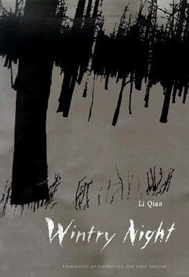 Wintry Night