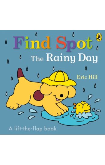 Find Spot: The Rainy Day