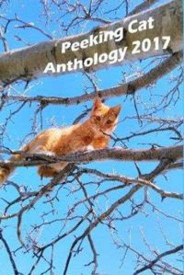 Peeking Cat Anthology 2017