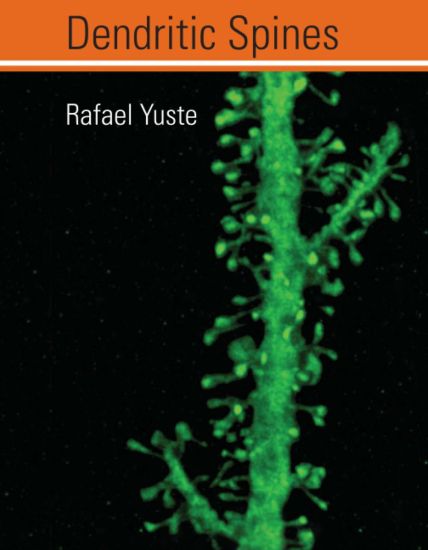 Dendritic Spines
