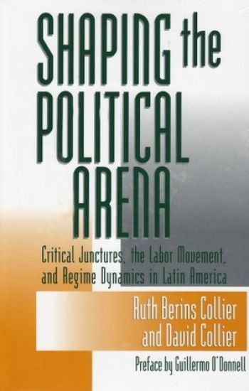 Shaping the Political Arena