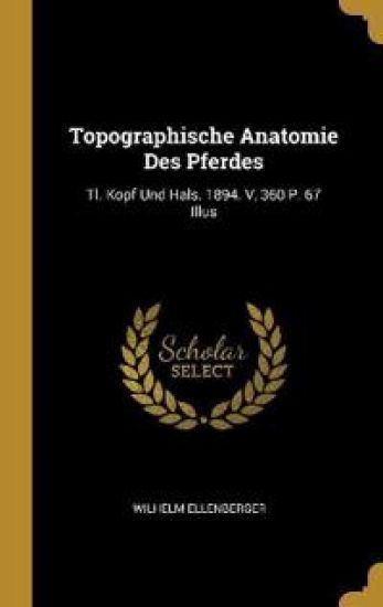 Topographische Anatomie Des Pferdes
