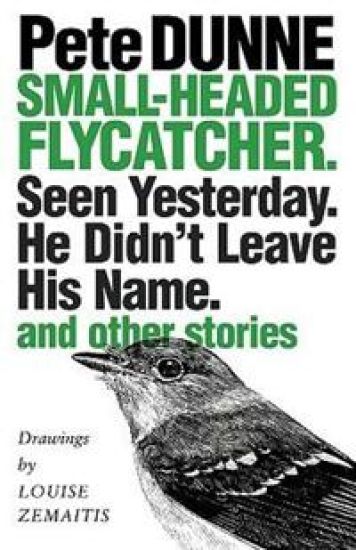 Small-headed Flycatcher. Seen Yesterday. He Didn't Leave His Name.