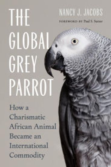The Global Grey Parrot