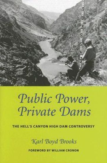 Public Power, Private Dams