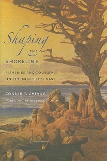 Shaping the Shoreline