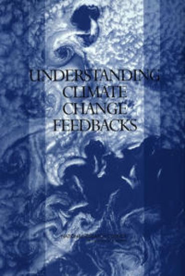 Understanding Climate Change Feedbacks