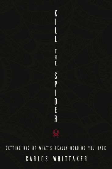 Kill the Spider