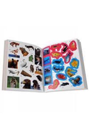 1000 Stickers (Sticker Activity Fun)