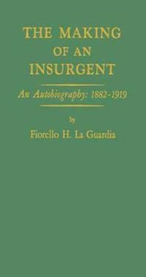 The Making of an Insurgent