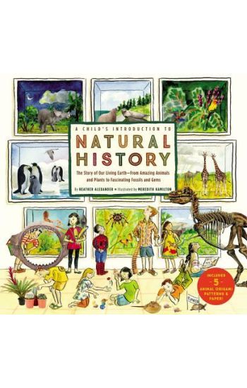A Child's Introduction to Natural History