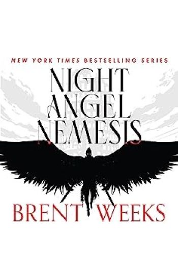 Night Angel Nemesis