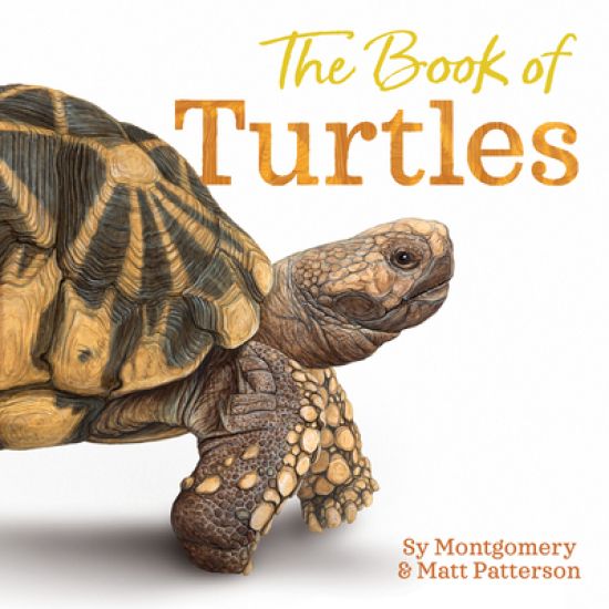 The Book of Turtles – Sy Montgomery, kirjan kansikuva