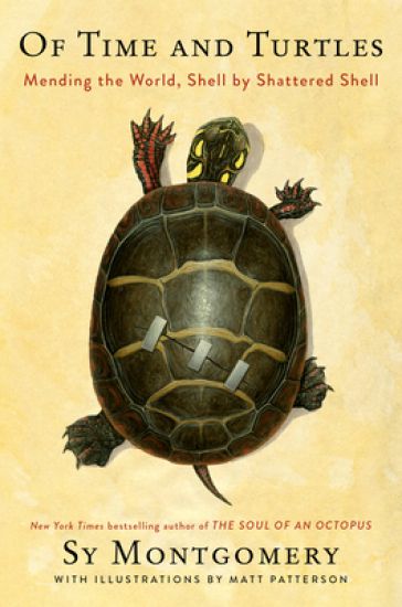 Of Time and Turtles: Mending the World, Shell by Shattered Shell – Sy Montgomery, kirjan kansikuva