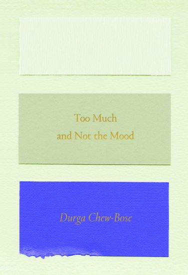 Too Much and Not the Mood: Essays