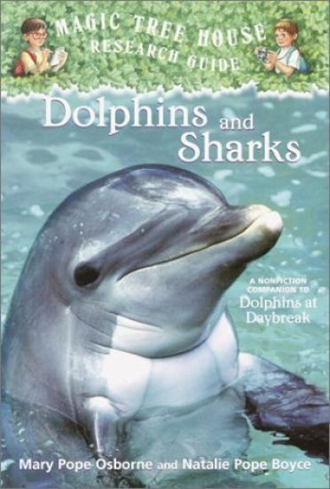 Dolphins and Sharks