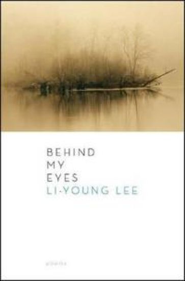 Behind My Eyes